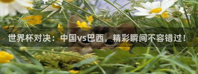 世界杯亚洲区预选赛：世界杯对决：中国vs巴西，精彩瞬间不容错过！