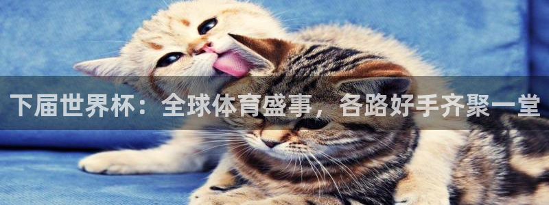 联赛杯直播：下届世界杯：全球体育盛事，各路好手齐聚一堂
