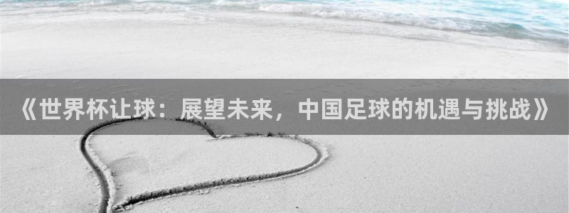 足球世界杯：《世界杯让球：展望未来，中国足球的机遇与挑战》