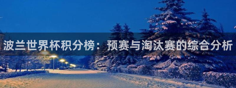 世界杯官网入口：波兰世界杯积分榜：预赛与淘汰赛的综合分析