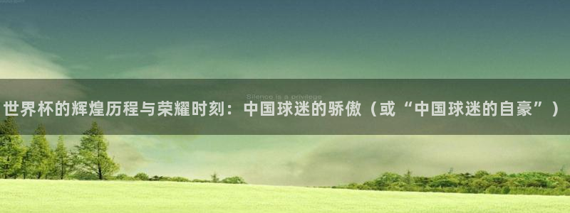 2026世界杯直播免费观看：世界杯的辉煌历程与荣耀时刻：中国球迷的骄傲（或“中国球迷的自豪”）