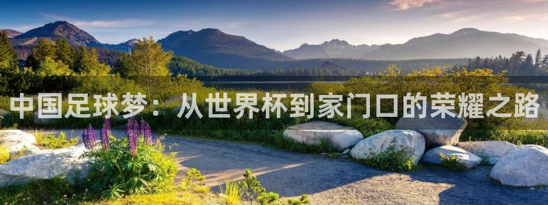 世界杯预选赛亚洲区积分榜：中国足球梦：从世界杯到家门口的荣耀之路