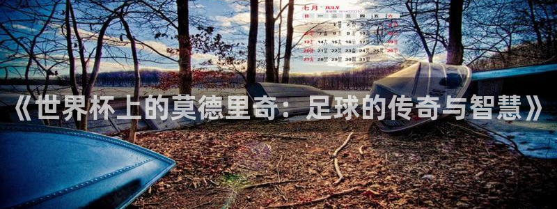 英格兰联赛杯直播：《世界杯上的莫德里奇：足球的传奇与智慧》