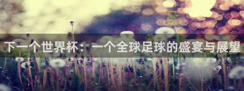 今年世界杯：下一个世界杯：一个全球足球的盛宴与展望