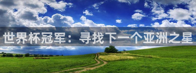 欧洲世界杯预选赛：世界杯冠军：寻找下一个亚洲之星