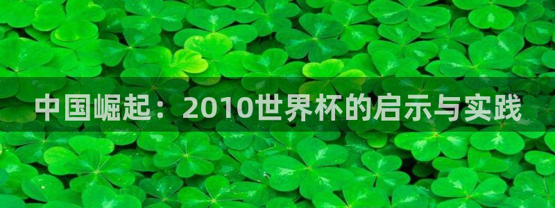 世界杯 2026：中国崛起：2010世界杯的启示与实践