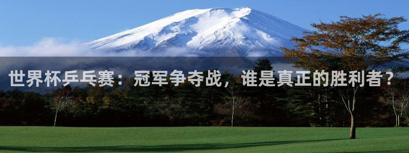 世界杯2026赛程表：世界杯乒乓赛：冠军争夺战，谁是真正的胜利者？