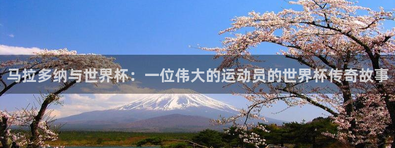 2026世界杯亚洲区预选赛赛程：马拉多纳与世界杯：一位伟大的运动员的世界杯传奇故事
