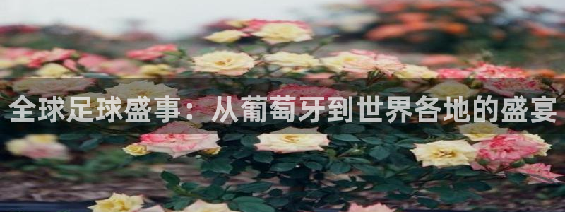 足球世界杯赛程：全球足球盛事：从葡萄牙到世界各地的盛宴