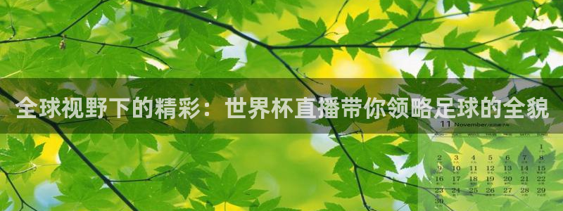 世预赛欧洲赛程表：全球视野下的精彩：世界杯直播带你领略足球的全貌